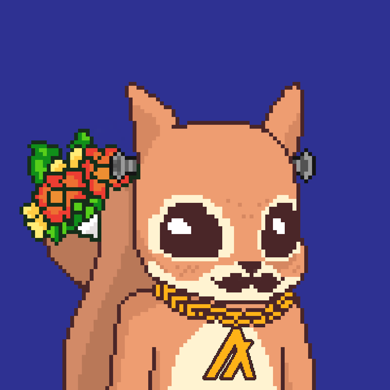 Pixel Squirrels #9119